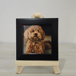 3x3 Frames