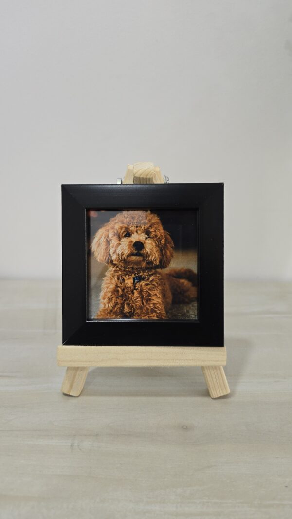 3x3 Frames
